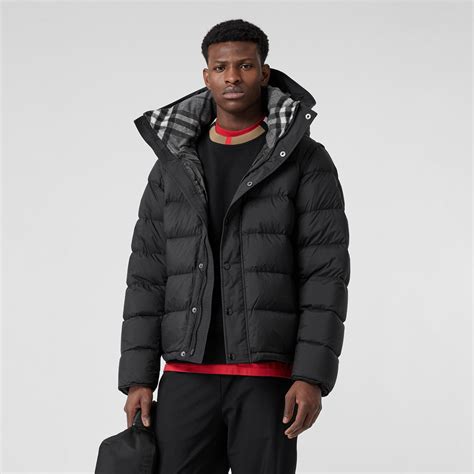 burberry puffer mens